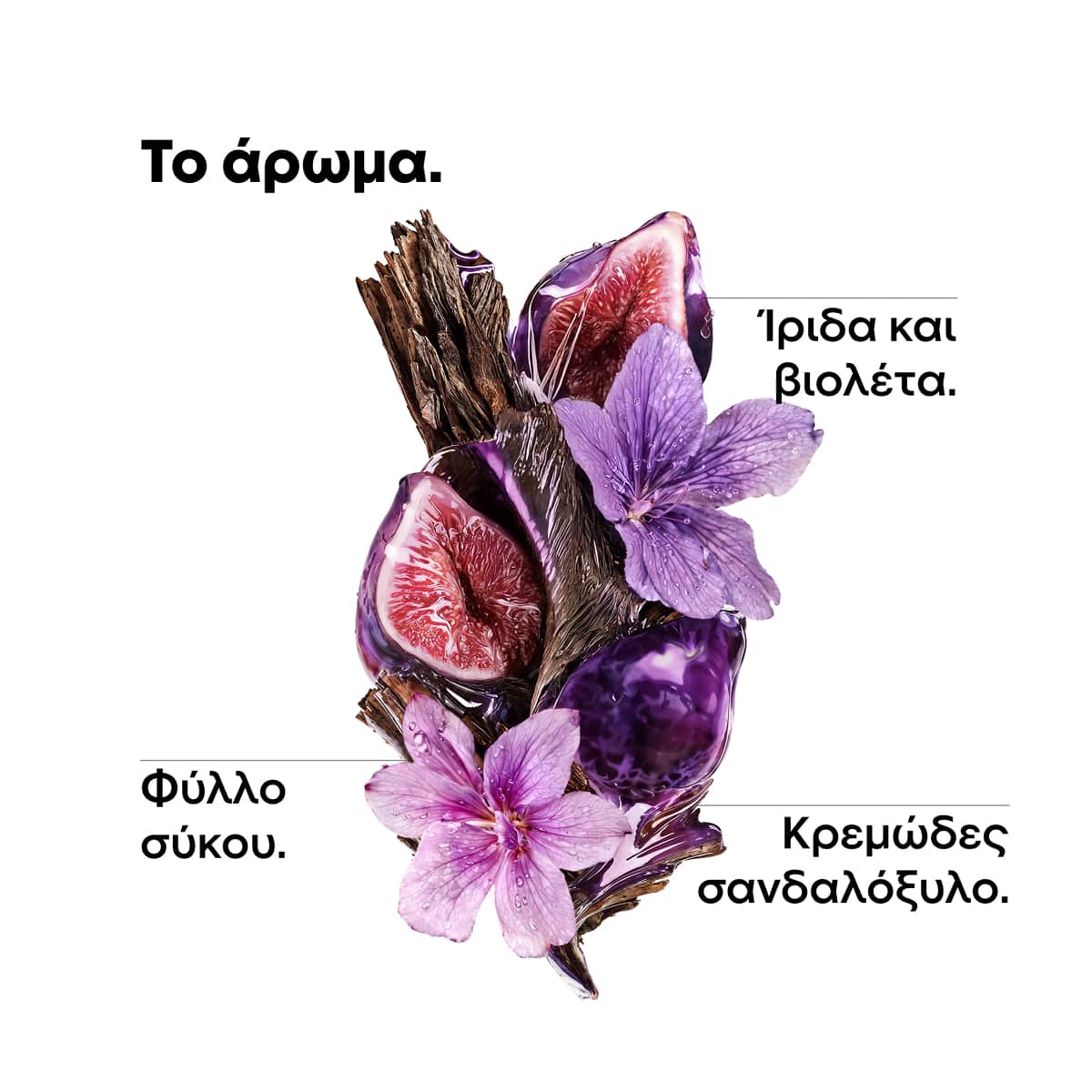 L'Oreal Professionnel Keratin Alpha Sleek Professional Shampoo Σαμπουάν Χωρίς Θειικά Άλατα Για Λείανση 300ml 6