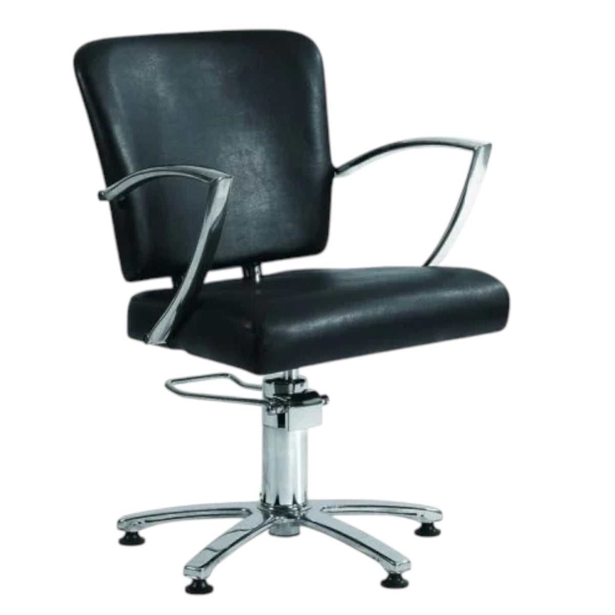 Salon Pro Economy Styling Chair Rodon Elegance 6369 by GL 1