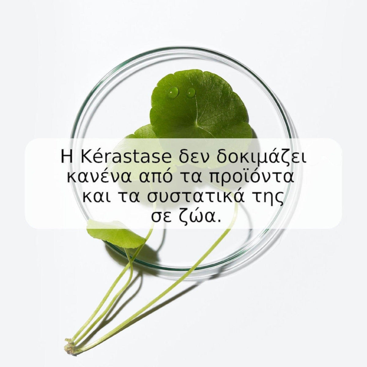 Kerastase Curl Manifesto Refresh Absolu Σπρέι Ανανέωσης Για Σγουρά Μαλλιά 190ml