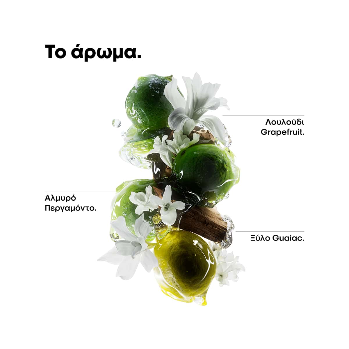 L'Oreal Professionnel Serie Expert Metal Detox Μάσκα Κατά των Μεταλλικών Στοιχείων 250ml Συστατικα