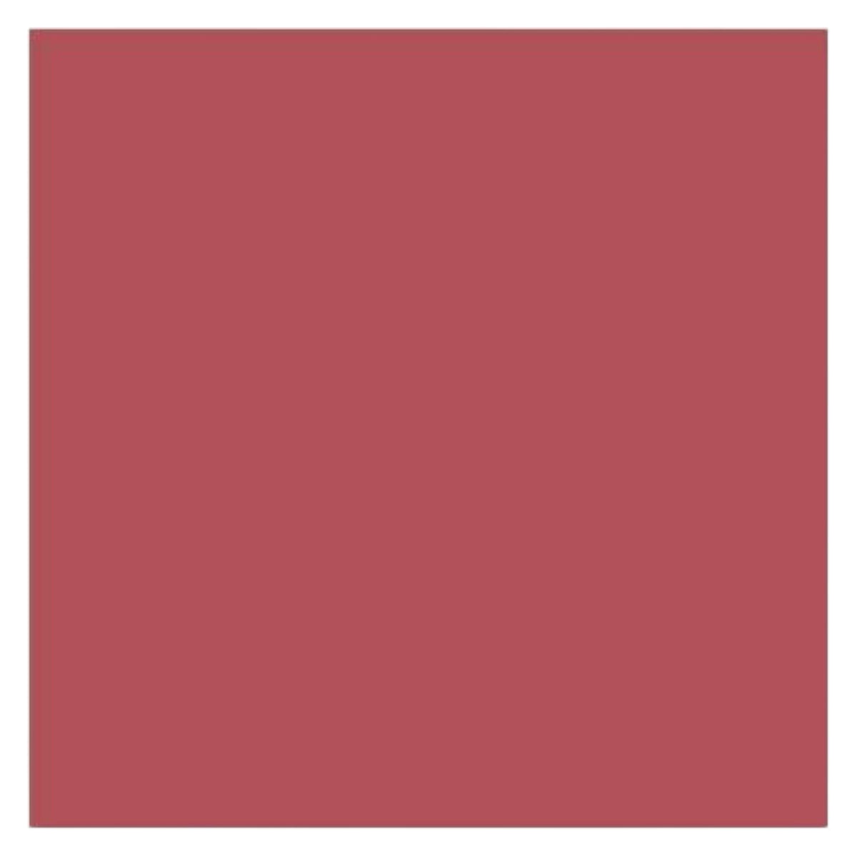 Lavish Care Liquid Matte Lipstick Xtra Long Lasting No.6 5ml
