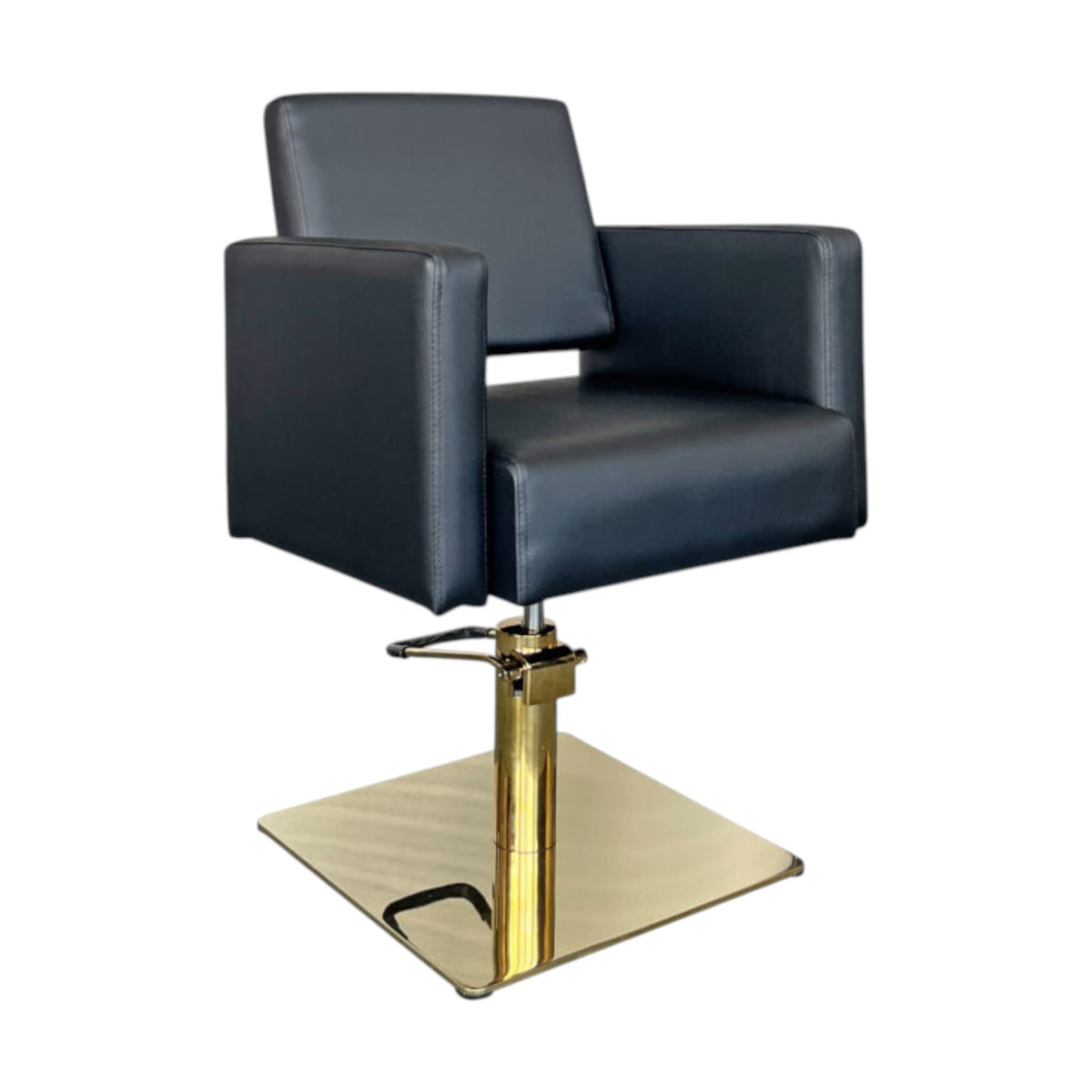 Salon Pro Economy Styling Chair Dalia Black Gold 6205 by GL 1