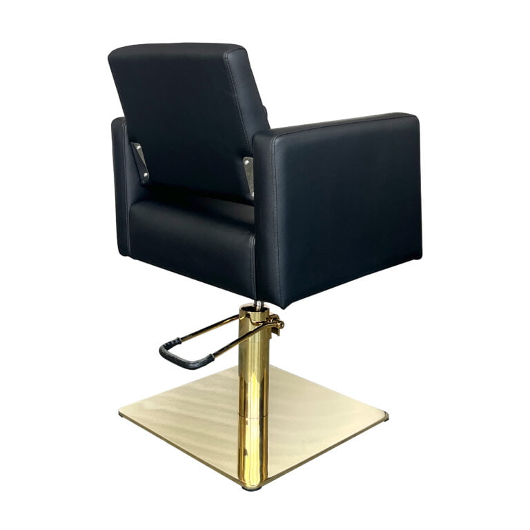 Salon Pro Economy Styling Chair Dalia Black Gold 6205 by GL 2